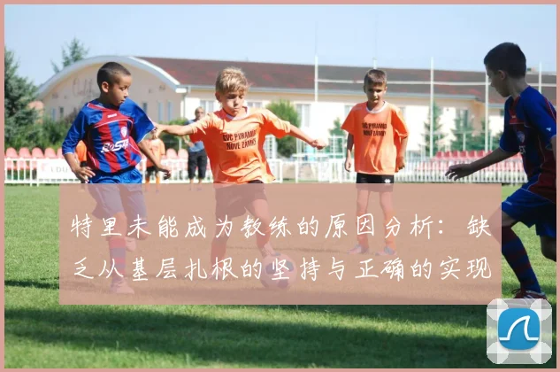 特里未能成为教练的原因分析：缺乏从基层扎根的坚持与正确的实现方式