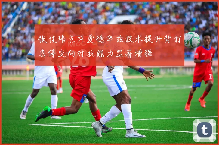 张佳玮点评爱德华兹技术提升背打急停变向对抗能力显著增强