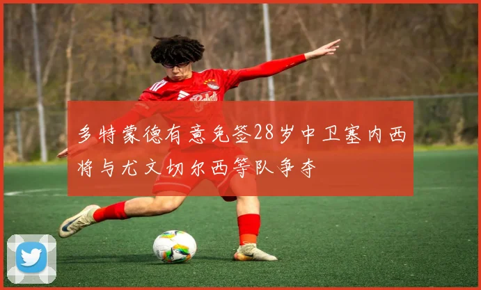 多特蒙德有意免签28岁中卫塞内西将与尤文切尔西等队争夺