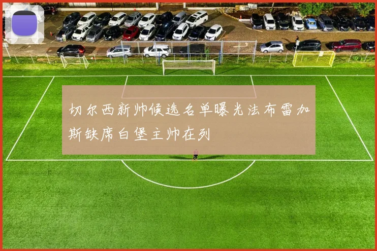 切尔西新帅候选名单曝光法布雷加斯缺席白堡主帅在列