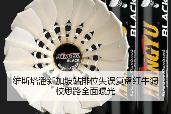 维斯塔潘新加坡站排位失误复盘红牛调校思路全面曝光 - LDSPORTS